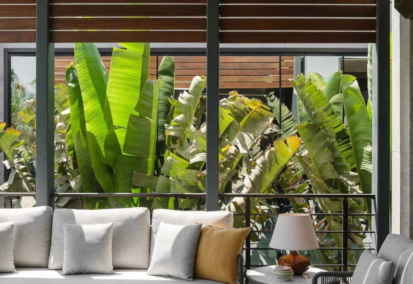 324840021_447006400831217_5691847040378886372_n